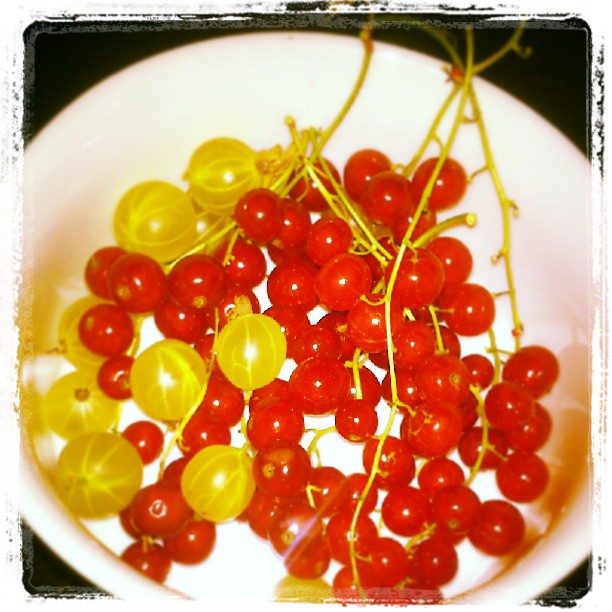 Berry night